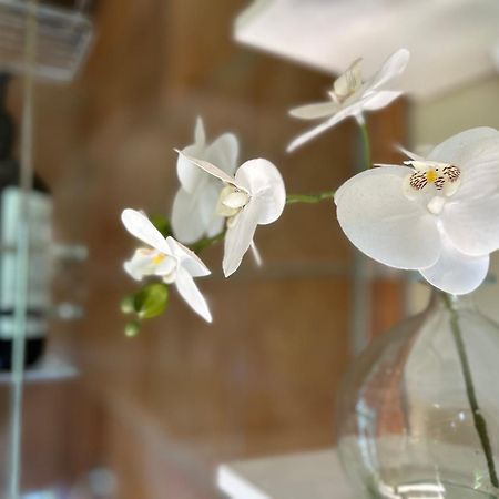 The Canyons B&B Квінстаун Екстер'єр фото